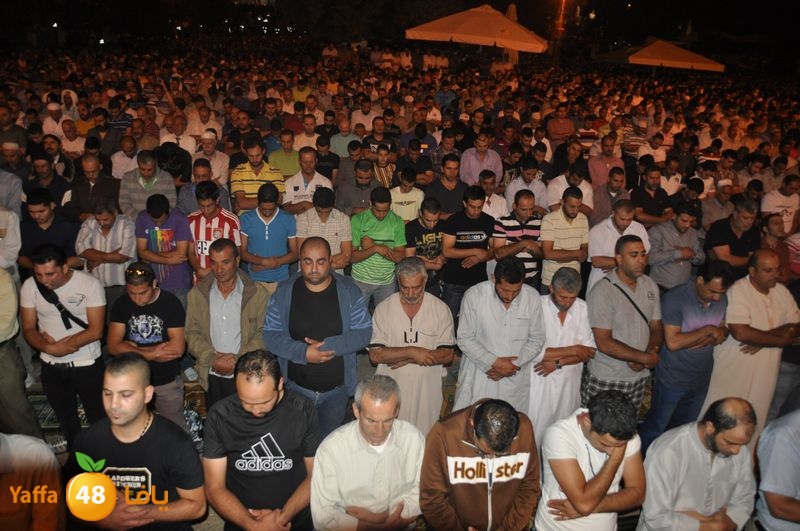 lud trawer7 aqsa 805 (4).JPG